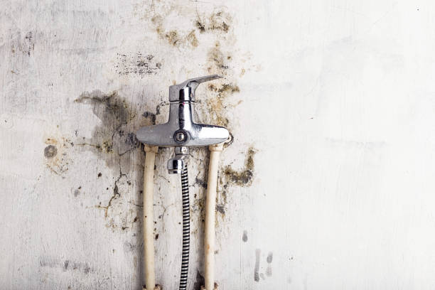 Water Damage Restoration in Algona, IA