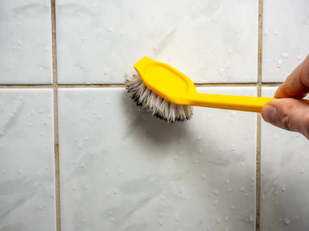 Best Residential Mold Removal  in Algona, IA