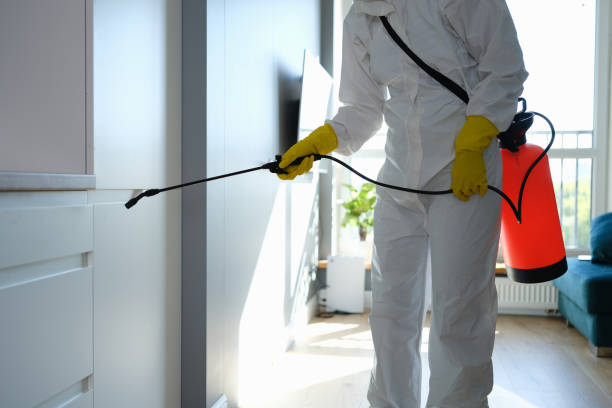 Best Mold Removal Company Near Me  in Algona, IA