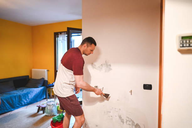 Best Mold Remediation  in Algona, IA